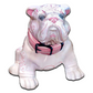 Mascota Tequila Rosa “Faith" 鬥牛犬 寵物龍舌蘭 粉紅 「信任」