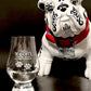 Mascota Tequila Blanco “Winston" 鬥牛犬 寵物龍舌蘭 銀白 「溫斯頓」