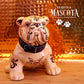 Mascota Anejo Tequila   鬥牛犬 寵物龍舌蘭 陳釀